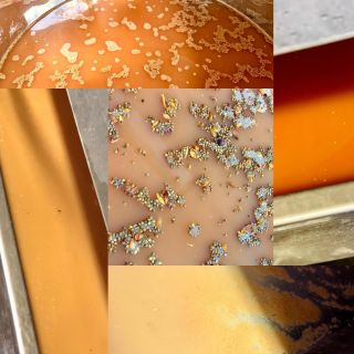 Bílé, rosé, červené a proč nezkusit oranžádu, že jo? Today is the coconut curry day @filiberk na láhvi příští rok touto...